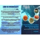 Guía práctica sobre las enfermedades de los peces