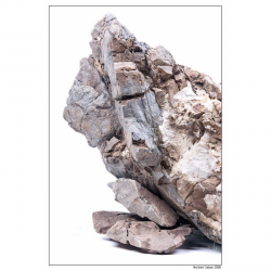 Roca frodo (kg)
