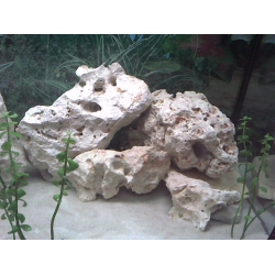 Roca blanca para cíclidos (kg)