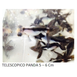 PEZ TELESCOPIO PANDA 5-6 cm