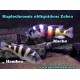 Haplochromis obliquidens Zebra
